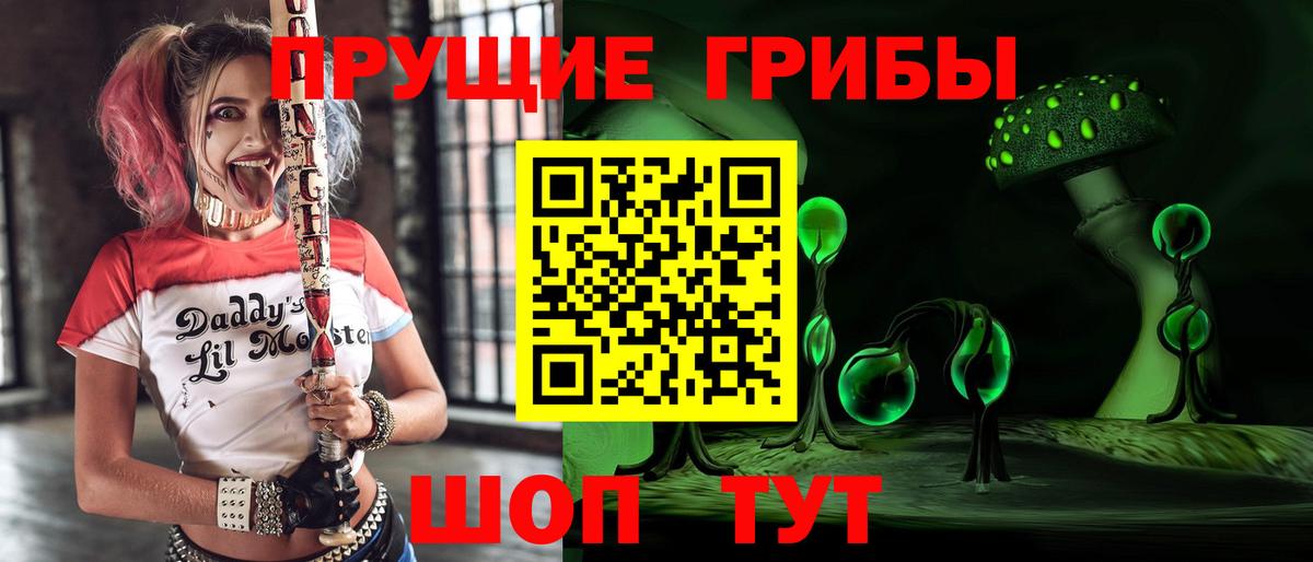 Советская Гавань  Псилоцибиновые грибы MAGIC MUSHROOMS  Вход с VPN 